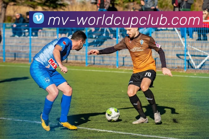 世俱杯体育投注平台生态图