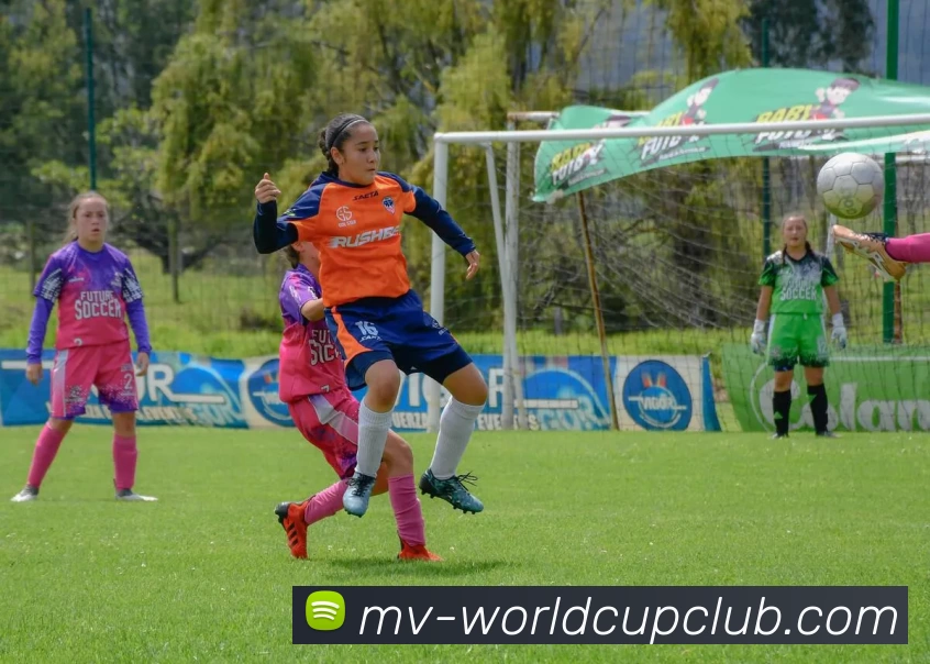 世俱杯体育投注APP 封面图